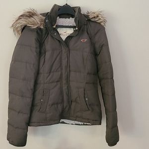 Hollister Winter Jacket